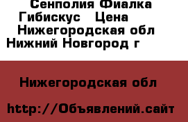 Сенполия Фиалка Гибискус › Цена ­ 50 - Нижегородская обл., Нижний Новгород г.  »    . Нижегородская обл.